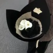 amの画像
