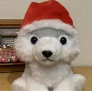 みかんの画像