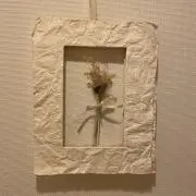 にこぽちこの画像