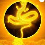 ⭐︎福来龍⭐︎