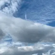 BB