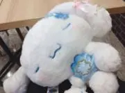 みー(※プロフ必読)の画像
