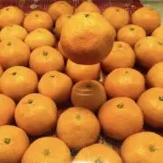 みかんの画像