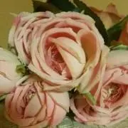 ゆみ