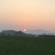 チャチャ