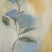 アイの画像