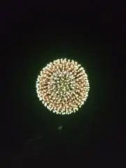 mmscpmtの画像