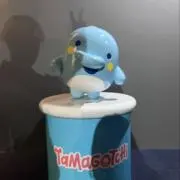 がいず