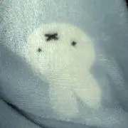Rの画像