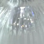 フルーツミックス