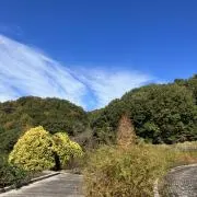 Soraの画像