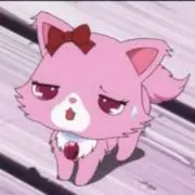 nekoの画像