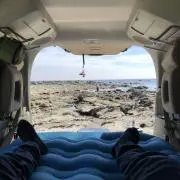 しょうの画像