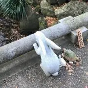 ダイダイ
