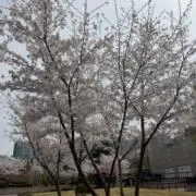 AMの画像
