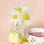 ももの画像
