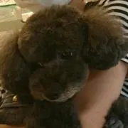 ひめさんの画像