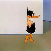 ジナの画像