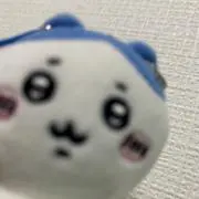ハンギョドンの画像