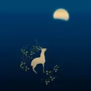 夜鹿の画像