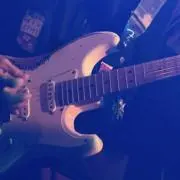 bobの画像