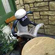 ぶちの画像