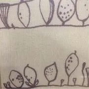 かもめの画像