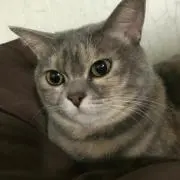 まぁゆぅ