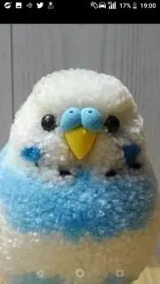 まるりんの画像