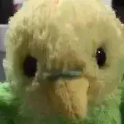 Fluffy's - P