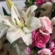 dxmama★プロフ必読願います★の画像