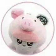 AMA☆断捨離中の画像