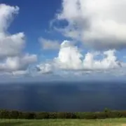 masanori333の画像