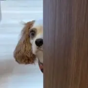 ちぃぃぃ