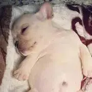 みるもの画像