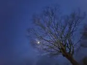 moonの画像