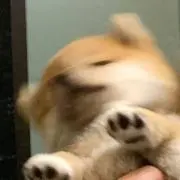ARinnの画像