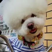 スパンク