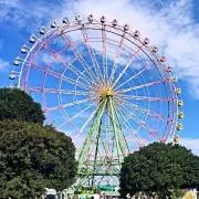 風の画像