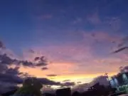 ぽむーみん