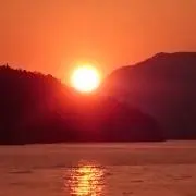 TOMZの画像
