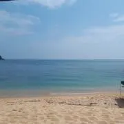 miyu☆☆☆の画像