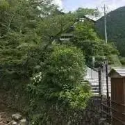 はっしー