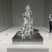 カカトの画像