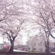 もこの画像