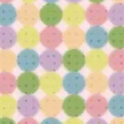 ちゃんこ