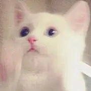 akiの画像