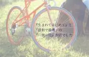 メイの画像