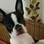 もこまる☆*