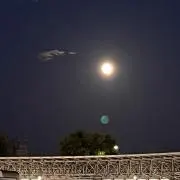 ミンタの画像